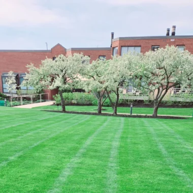 Commercial property maintenance featured image