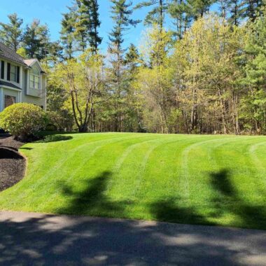 lawn care service featured image