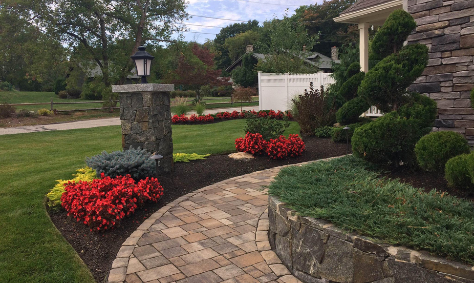 Landscape Design featured image