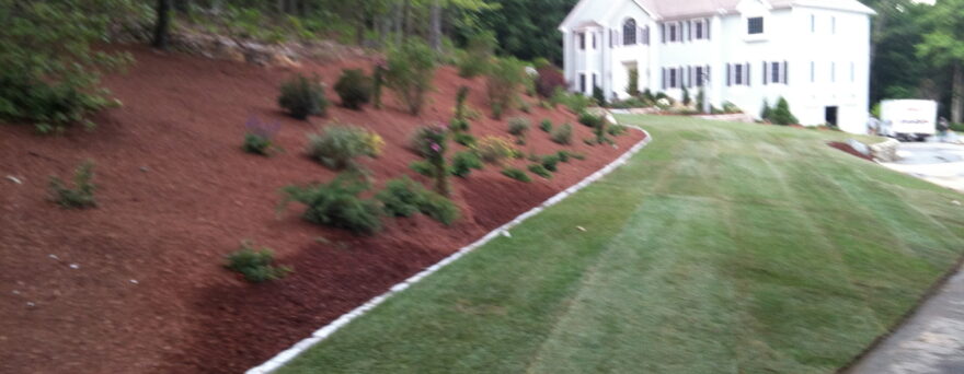 Stefano S Landscaping